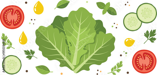Fresh Lettuce with Tomato, Cucumber, Herbs and Olive Oil Healthy Salad Ingredients Vector Illustration