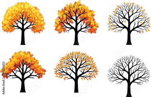 Vector illustration of deciduous trees in autumn foliage stages from full leaves to bare branches for seasonal artwork