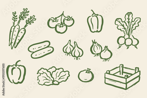 Vegetable crate set outline sketch vector illustration