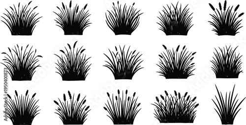 Wild Grass and Reed Silhouette Set - Black Nature Plant Vector Collection
