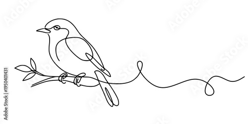 Hummingbird with lesf, Minimalist continuous-line drawing of a hummingbird interacting with a flower
