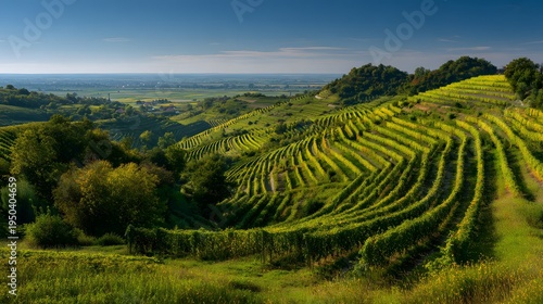 Dynamic portrayal of Hungarian viniculture with terraced vineyards near Koszeg, blending historical wine crafting and scenic natural beauty along the Austrian border