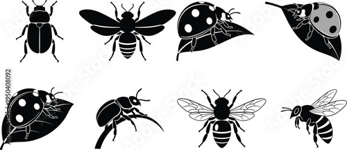 Insect silhouette collection featuring ladybugs, bees and beetles on leaves isolated vector illustration for nature, wildlife and entomology design.