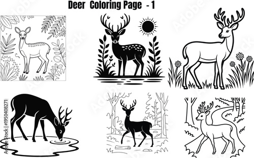 Deer for coloring pages black and white line animals
