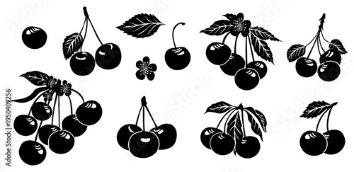 Silhouettes of cherries with leaves and stems. Dark outlines define each fruit and foliage. Simple yet elegant design suits various themes. Ideal for culinary, gardening, or seasonal projects