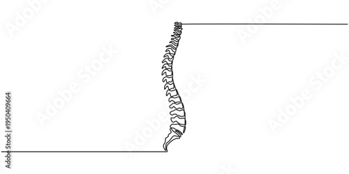 one line spine, Continuous one line drawing bones of human hand.  Wrist bones in single line art vector illustration. Editable stroke, Chiropractor spine. Continuous one line drawing on white back.