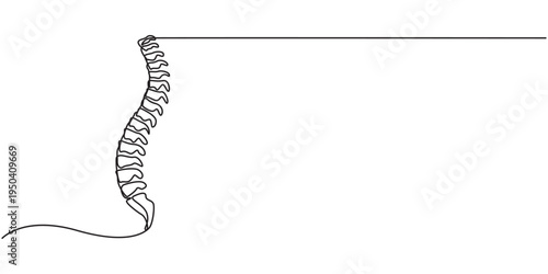 one line spine, Continuous one line drawing bones of human hand.  Wrist bones in single line art vector illustration. Editable stroke, Chiropractor spine. Continuous one line drawing on white back.
