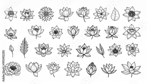 Botanical Flower Line Icon Set with Lotus and Floral Outline Illustrations