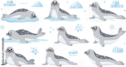 Arctic Seal Cartoon Character Set Featuring Swimming, Sliding, Sitting, and Resting Poses with Icebergs and Snowflakes in Polar Wildlife Scene.