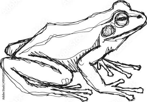 Sketch of a frog side view, amphibian drawing with visible eyes, legs, and textured skin lines