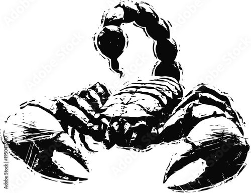 black and white scorpion illustration with detailed claws and curled tail on white background