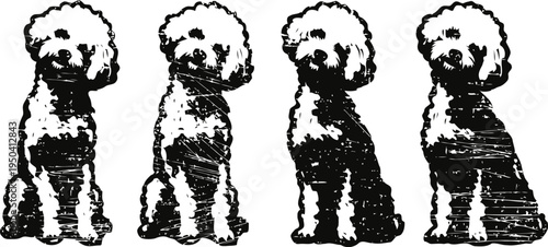 silhouette illustrations of four sitting poodle dogs in black and white with fluffy fur