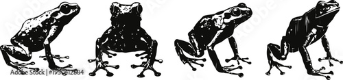 Silhouettes of four different frog poses in black on white background amphibians, wildlife design elements