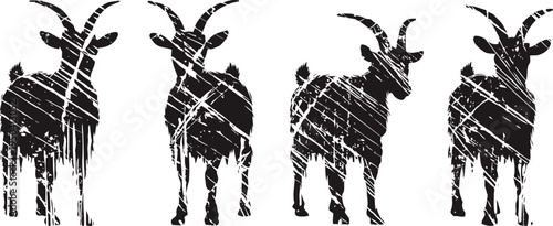 Four rustic goats silhouettes with distressed texture in black and white, farm animals design elements