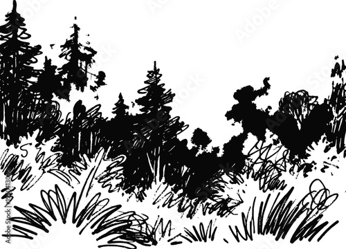 Black and white ink sketch of dense forest with tall pine trees and wild grass bushes outdoors