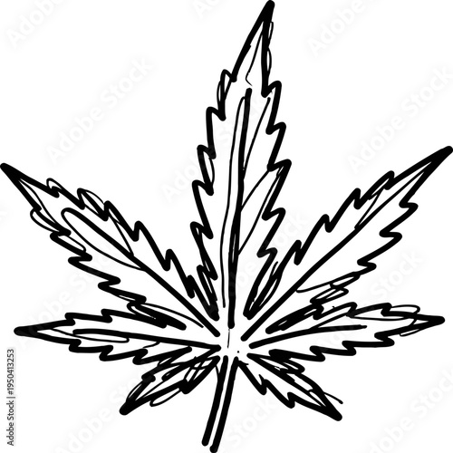 hand drawn cannabis leaf outline detailed sketch of marijuana leaf with serrated edges and pointed tips on white background