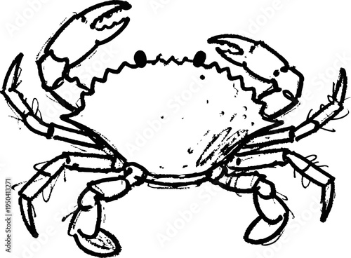 Black and white sketch of a crab with detailed claws and shell, marine life illustration