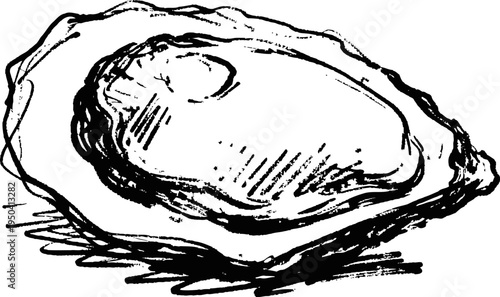 Hand drawn oyster shell illustration with detailed shading and textured lines