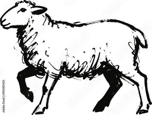Hand drawn sheep walking illustration rustic animal sketch with textured wool, simple black ink drawing