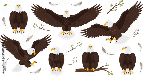 Bald Eagle Bird Illustration Set Featuring Flying, Perching, and Spreading Wings Poses with Feathers and Branches for Wildlife and Nature Designs.