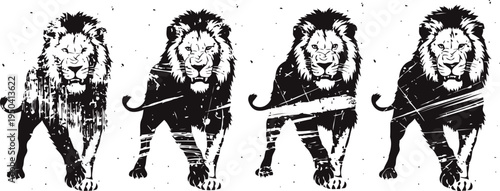 walking lion silhouette sequence in black and white with detailed mane and muscular body