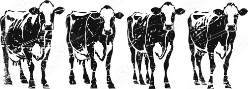 four black and white cows walking forward in a stylized pattern with high contrast shadow effect