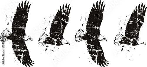flying eagle silhouette sequence in black and white showing wing movement in flight
