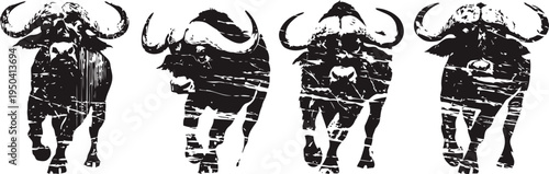 silhouettes of four wild buffaloes walking in a row, front view, black and white design