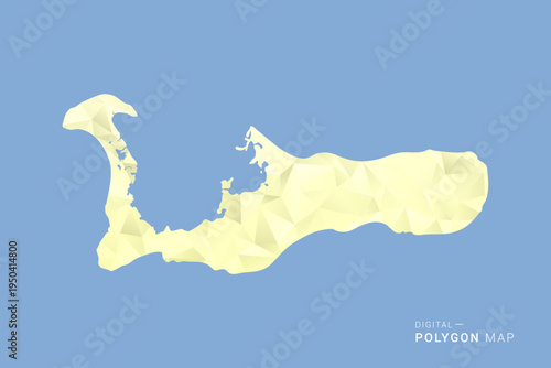 Cayman Islands Map in low poly polygon vector style, geometric shape illustration with soft yellow tones on blue background, clean silhouette for infographic.