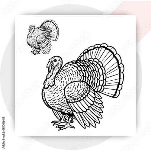 Thanksgiving silhouettes collection with turkey pumpkin leaves and harvest icons, black autumn holiday elements set black and white icon