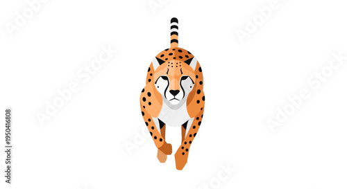 Cheetah Running Full Speed Ahead Directly.