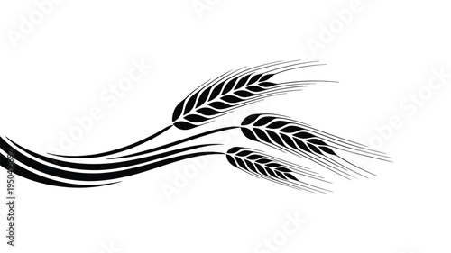 Wheat ears vector illustration representing harvest farm crops and organic food