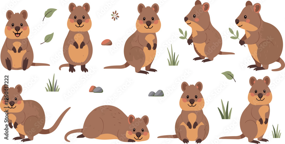 Fototapeta premium Cute Quokka Animal Character Set Featuring Sitting, Standing, Walking, and Resting Poses of Friendly Australian Marsupial Wildlife Illustration.