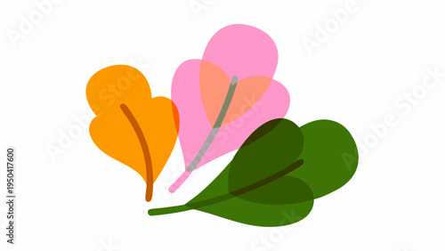 Set of colorful leaf icons vector