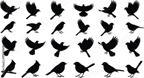 Black Bird Silhouette Vector Set Featuring Songbirds in Flight and Perching Poses Isolated on White Background for Nature Illustration, Graphic Design, and Minimalist Decals.