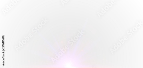 Neon pink lines twist across a transparent PNG space. Glowing particles highlight each curve. Perfect for modern digital artwork.