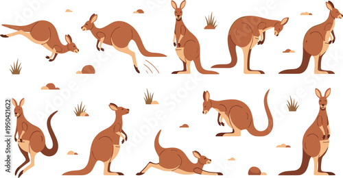 Kangaroo Wildlife Illustration Set Featuring Jumping, Standing, Walking, and Resting Poses of Australian Marsupial Animals in Natural Outback Habitat.