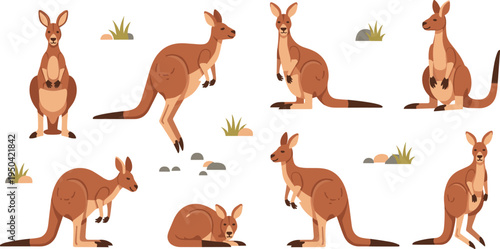 Kangaroo Cartoon Character Set Featuring Standing, Sitting, Jumping, and Resting Poses with Australian Wildlife Animal Illustration in Natural Habitat.