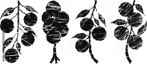 hand drawn black and white autumn berries branches set with leaves and textured shading