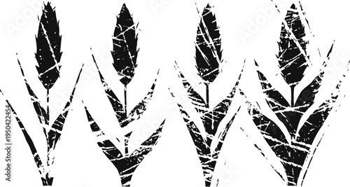 grain silhouettes in various growth stages with textured and scratched black shapes