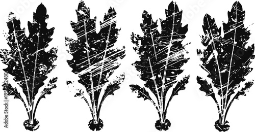 grunge black oak leaves vintage distressed textured foliage silhouettes autumn nature illustration