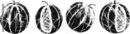 Watermelon illustration set sliced and whole fruits, seeds detail summer fresh juicy tropical food drawing