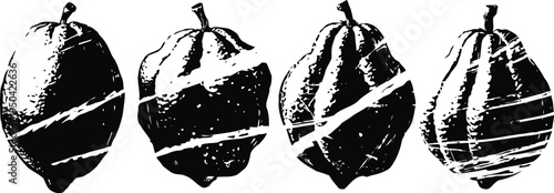Four vintage citrus fruit illustrations in black and white with striped patterns