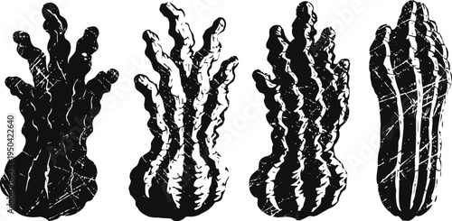 Silhouettes of four different cactus shapes with textured shading on white background