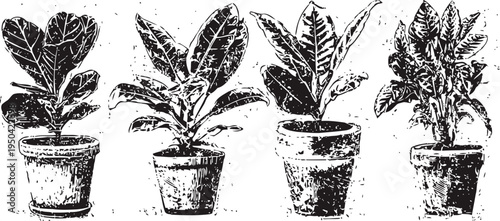 Hand drawn potted plants set various houseplants in textured rustic pots botanical garden decoration elements