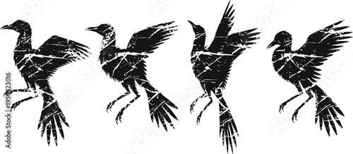 vintage black bird silhouettes in flight distressed grunge design with extended wings and tail feathers