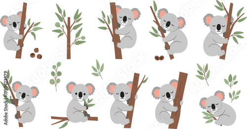 Koala Wildlife Illustration Set Featuring Climbing, Sitting, Hugging Tree, and Resting Poses of Cute Australian Marsupial in Eucalyptus Forest Habitat.