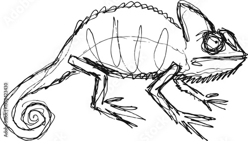 Sketch of chameleon lizard with curled tail and spiky back in side profile outline drawing
