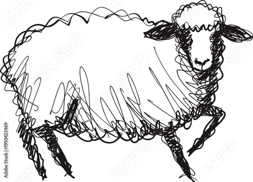 hand drawn sheep sketch in black ink, fluffy wool and detailed face, farm animal illustration