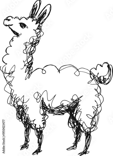 Scribble sketch of a llama with curly fur and upright ears